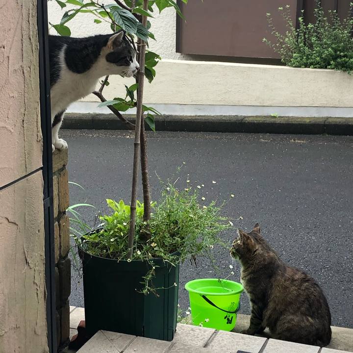 D54d8663 2ebd 426c 96e5 479e8c195e3c 1594368119420