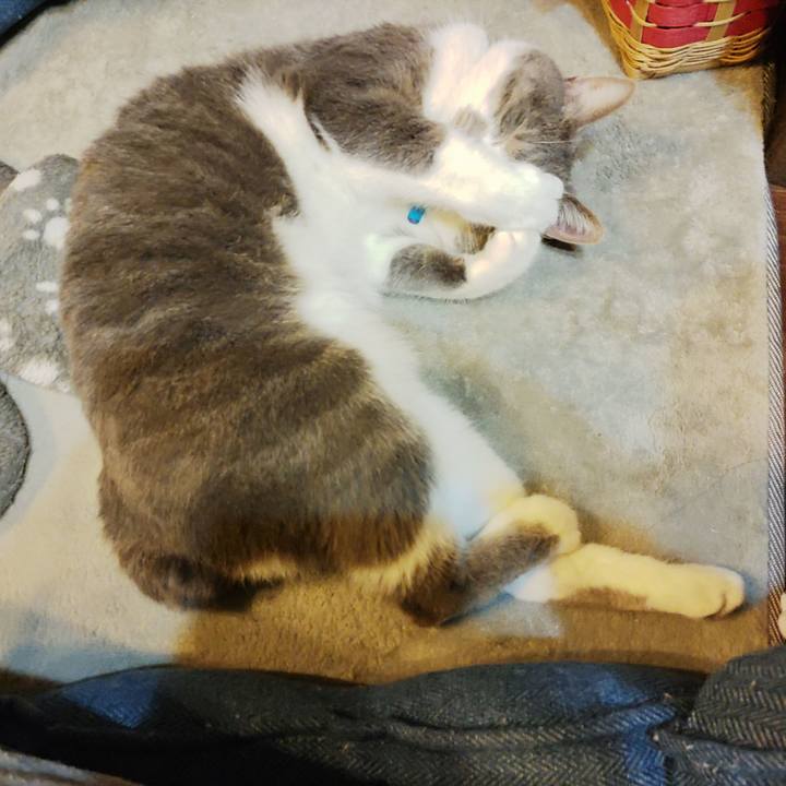 D54d94c6 1ae8 457e a2ff 85af92894ef9 1681138538690