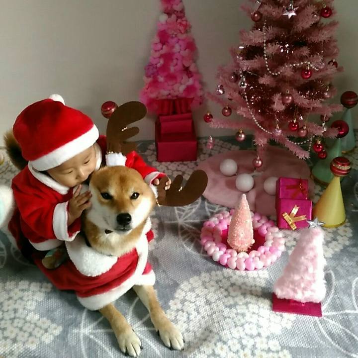 D54dc8a7 20c9 4411 a443 c38bd44d1cff 1545291489221