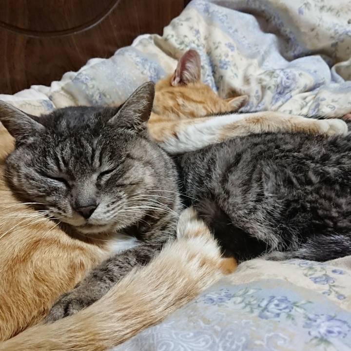 D54dd1f1 753c 4b4c 95a3 2cf3ec45d83a 1583412742479