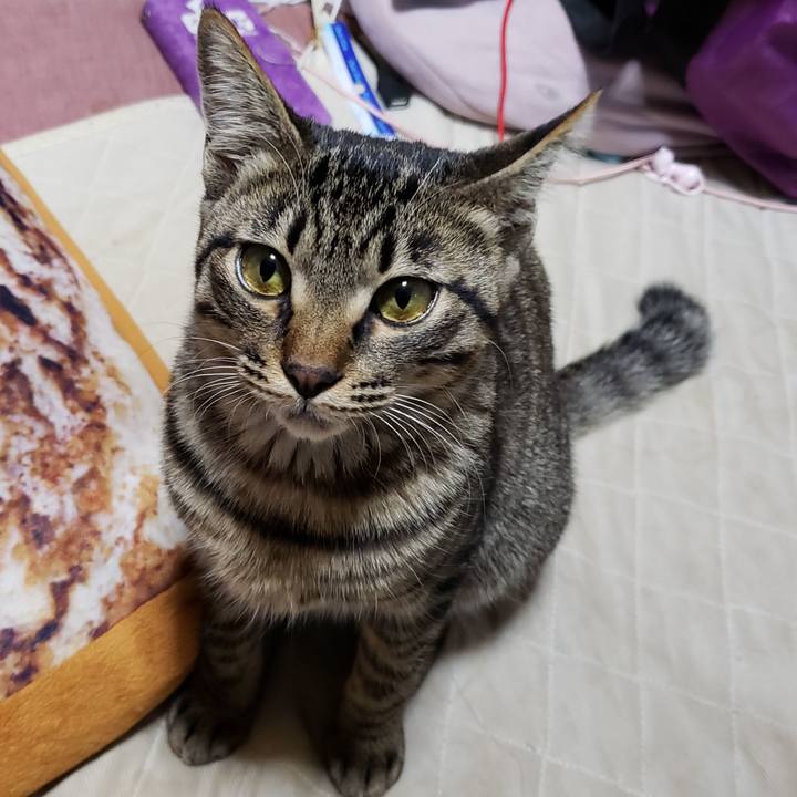 D54e2c9c fa84 479d 82ba 5f2004b8434c 1544340416686