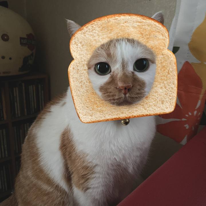 D54e4cd2 fcf6 4f0a a0cb 5e5d1861a945 1582524716031