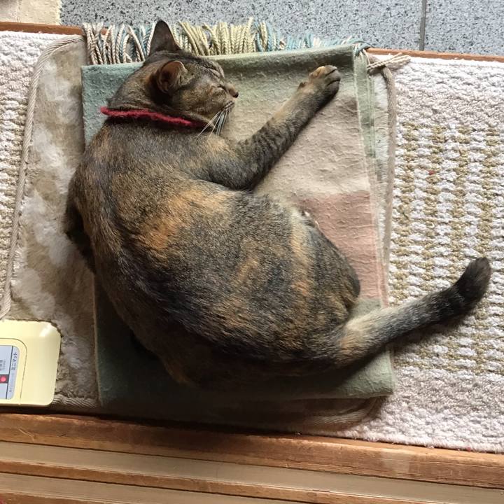 D54e63c2 3fc2 4176 93b4 e8e5ecc21d48 1601978644867