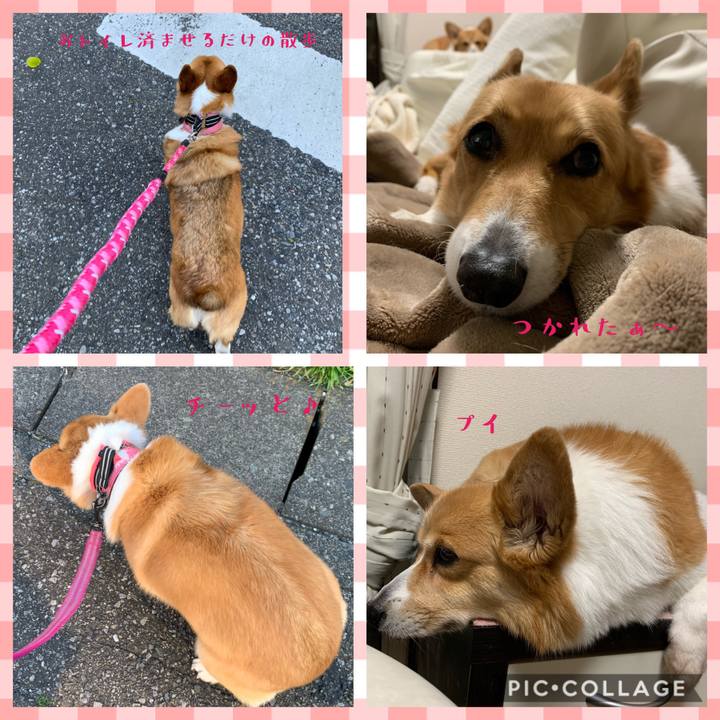 D54e884c 20fd 4dfd 99c3 a7b06ac26530 1586516970505