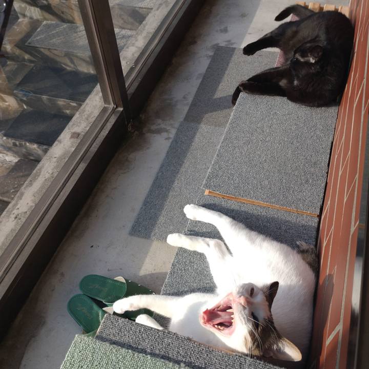 D54e9738 a2a9 479e a747 c11063c9d71b 1682927265134