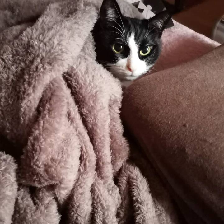 D54ead64 5fa5 4457 a0c3 0087fe11aaca 1702957101502