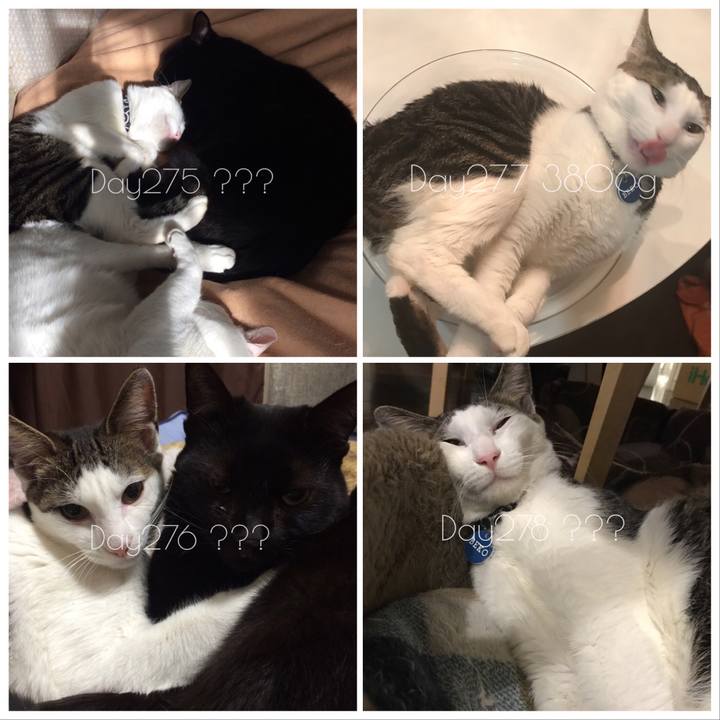 D54ebe34 6c66 46ac 9bc8 1c6e734e9992 1523793421829