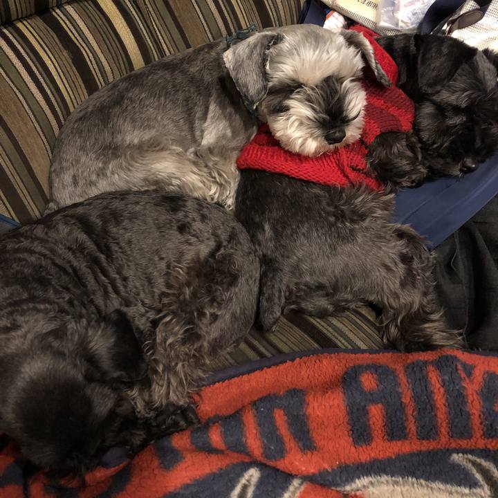 D54ec928 6987 4eca 912c c596d17f02e8 1549541857559