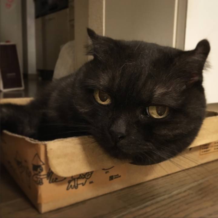 D54ed398 c136 40e6 9a0a b831d3bbb5c8 1536511864846