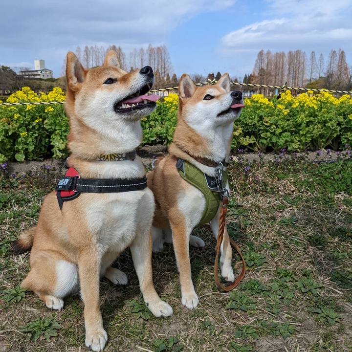 D54ee934 f4ac 4a38 8919 238a10a6bdc3 1647390071132