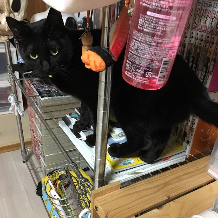 D54f4165 8c9f 4006 a2d1 0f3dcbdd250e 1514644349035