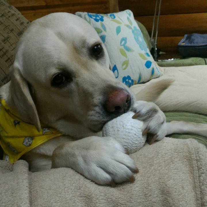 D54f759c 6824 450d bcca 8a5d40c80a5f 1516707948231