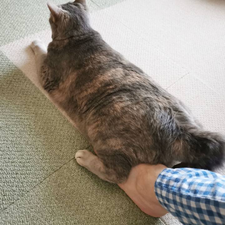 D54fa812 9ce3 416f b289 346e99b2f012 1656561040177