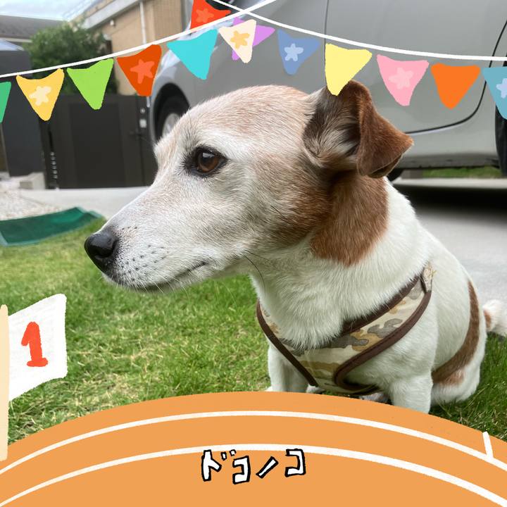 D54fac04 c0e8 4b8c a726 9ec1a16af955 1761696005708