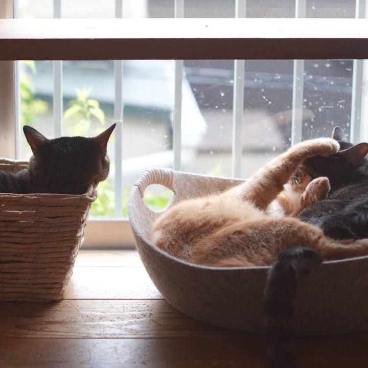 D54fbd6b 9b95 44fc 97e0 8fcc654b2f3f 1758116235059