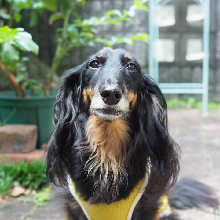 D54fc84f 3968 458e a3a5 cc2f8bac428d 1758759405244