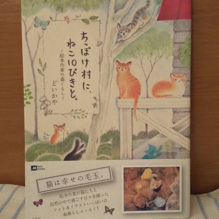 D54fddf8 9518 4933 9388 6f7b344d5808 1570385255014