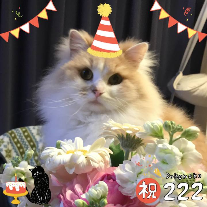 D54fed53 852b 43e4 864f 6c56dde81b3a 1645530558619