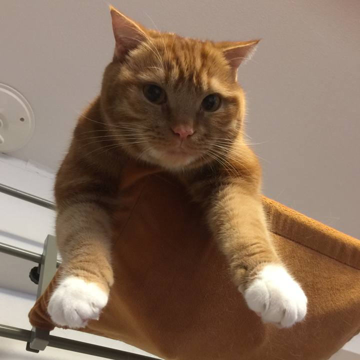 D54ff770 71b6 4931 9625 b705ddc08fb8 1550620759731