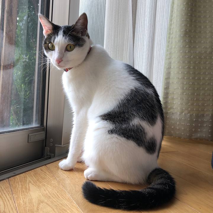 D5500b4f 608c 480d 8220 ac34dab322b2 1630394743116