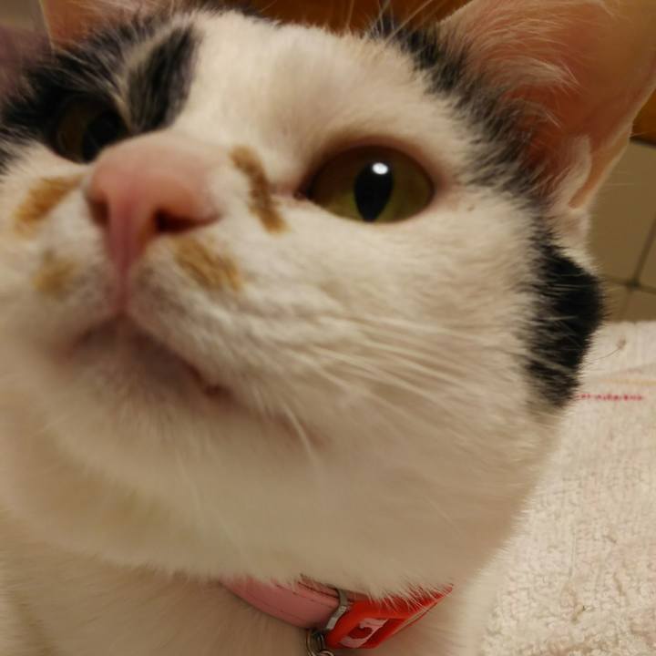 D5502378 d2ed 4892 8a18 d1e24036369e 1517931025905