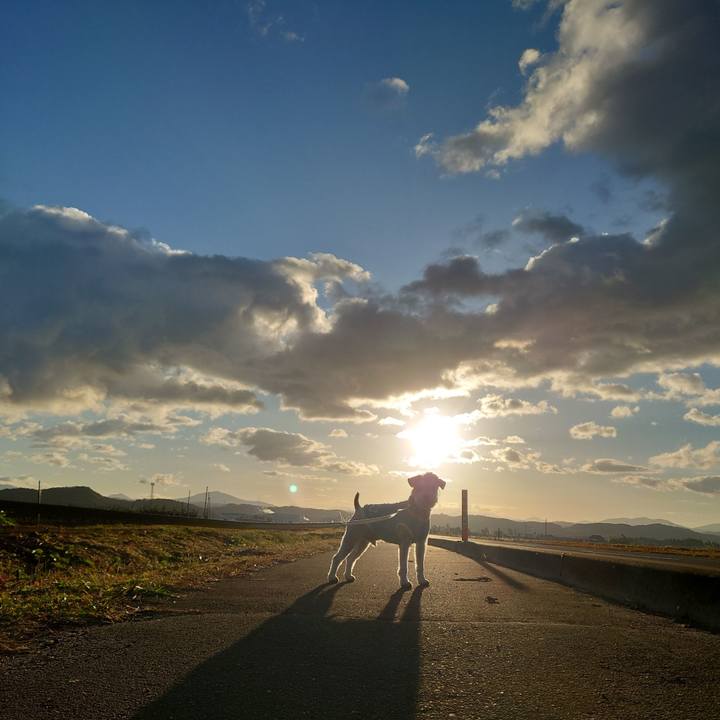 D5503c71 7144 47d1 a6ca 5c0b3c4d55e4 1763767265818