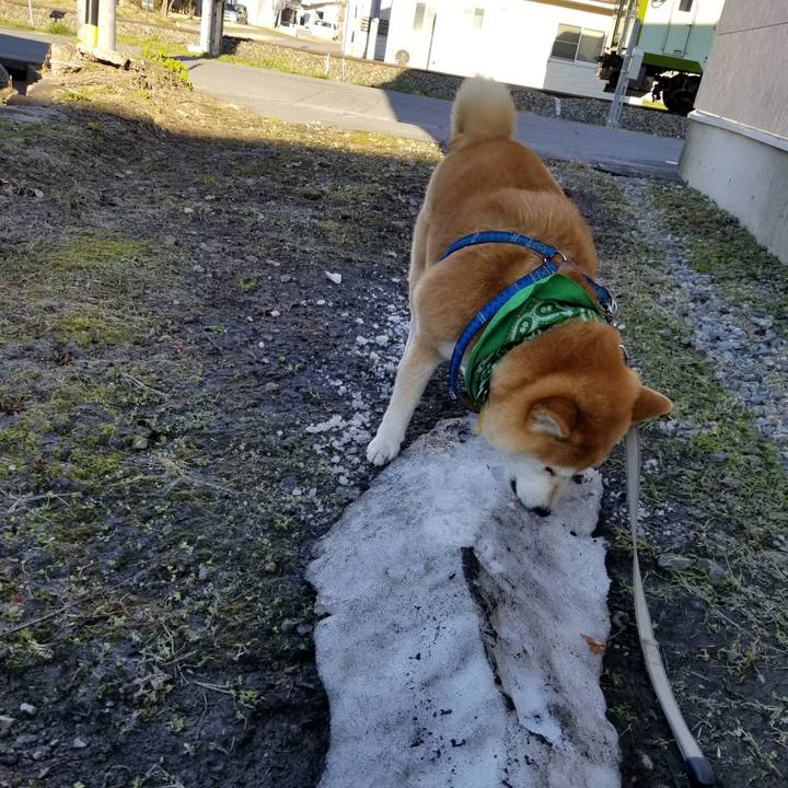 D55052c8 9a15 41cf a488 541fc11c360d 1555400870218