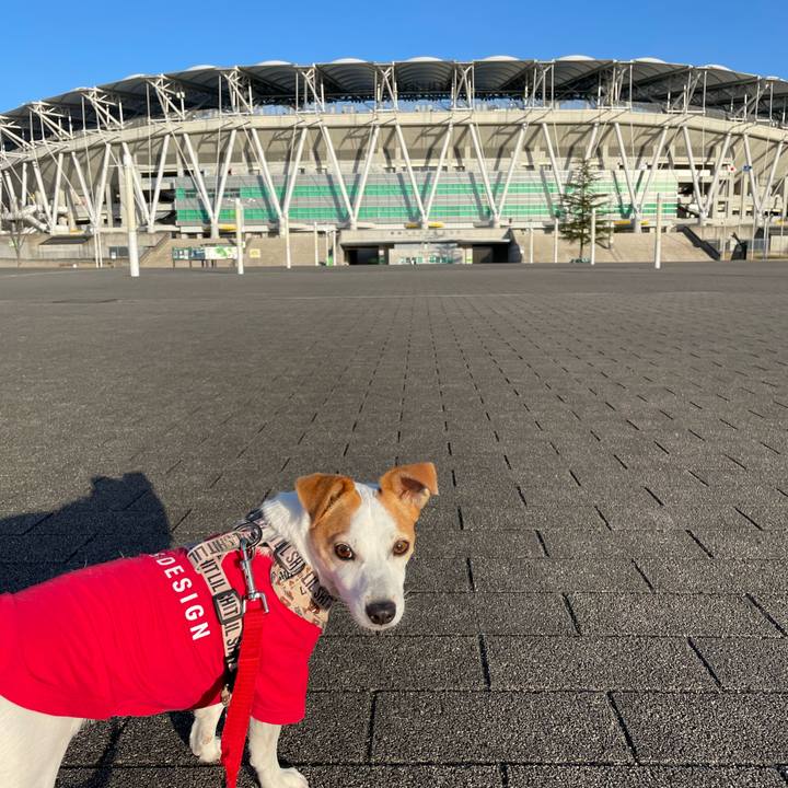 D55072ff 9ef3 4976 995e 2e9759ec34af 1647335896998