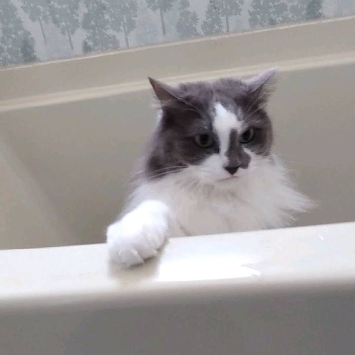 D5507c05 faf1 4767 aaa4 beab5f293439 1714044031393