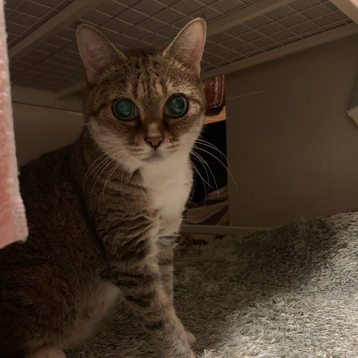 D550967f 9fee 484f 845a 75ba9cf55753 1633563323270