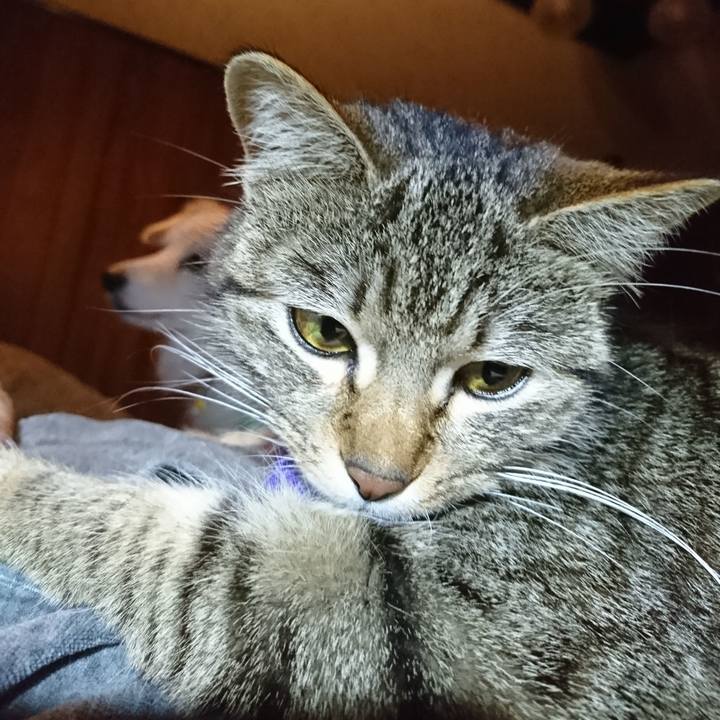 D550a1a0 2704 4769 9a10 9bb92b308cc6 1553163248848