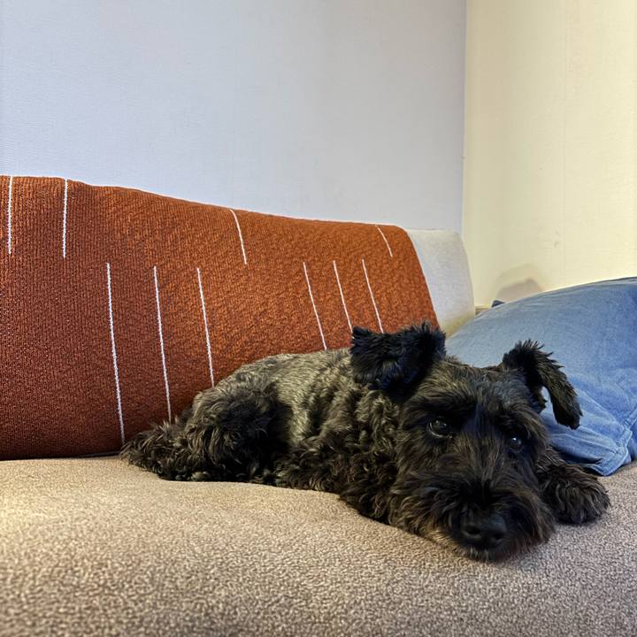 D550ff2a ac7c 4967 bd38 5e39aa5c6c7f 1761086542523