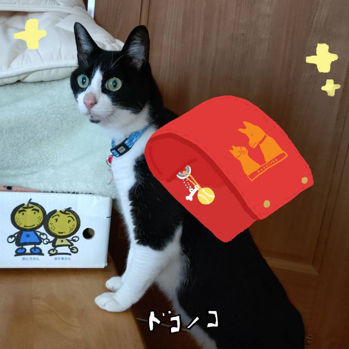 D5511a30 bda3 45f4 be42 4d307f9292e2 1744376911291