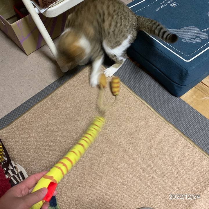 D5512b9b 1574 414b 9578 97088a1f0beb 1671879606622