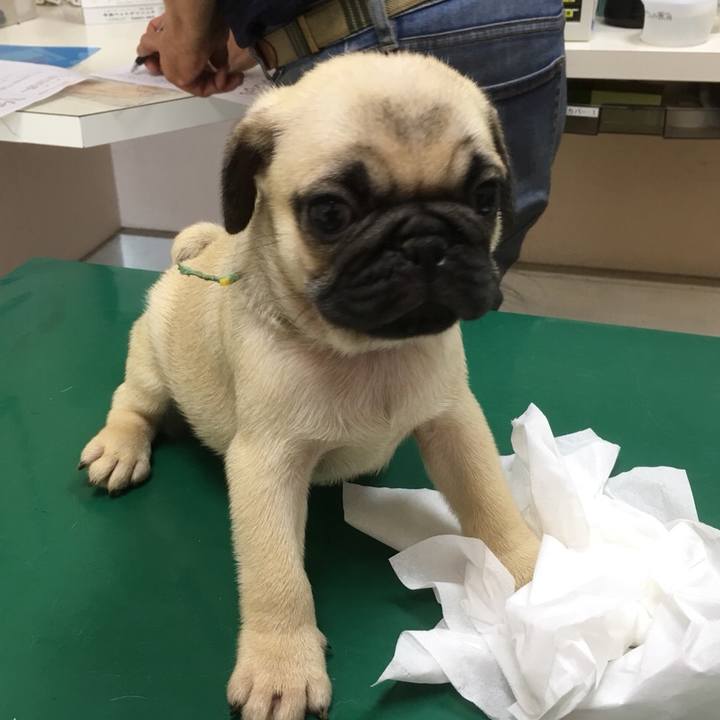 D551363d 5623 4dc5 9b44 dff25fd5ac14 1533627866271