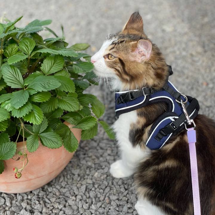 D5515d0e e922 4a61 99fb 62673b9c6f4c 1633853700884