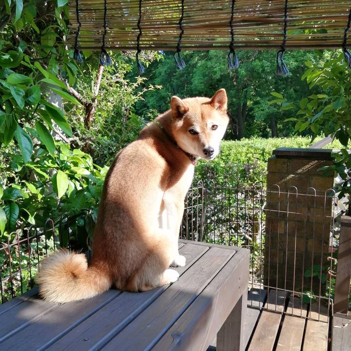 D5519057 3177 4694 830d fde12ff00af6 1591614553618