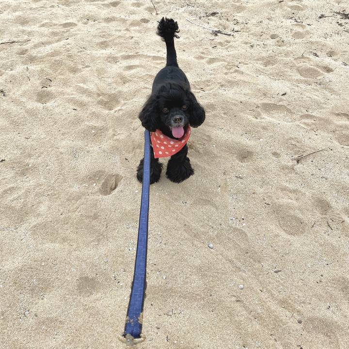 D551dabb c833 4a7d 8feb 39a83d855942 1592731966009