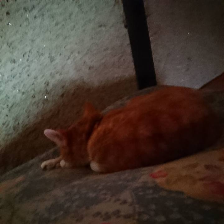 D55218c5 7a7e 42eb 8734 fbea5e25cc66 1601094639918