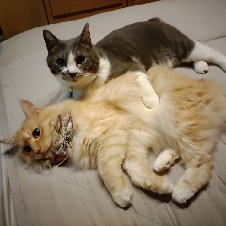 D55231b9 faa3 4c5a 89df 23381a2e9718 1725155807423