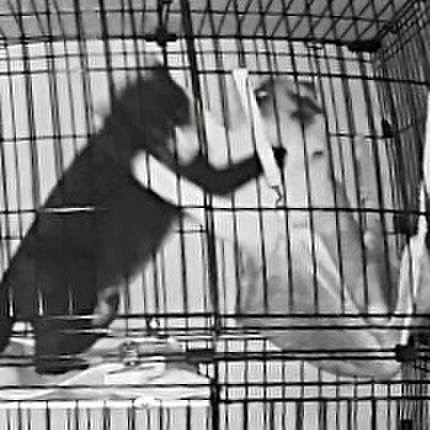 D552514b 4435 4a93 9e20 7e185930a5d6 1741984348537