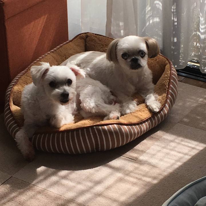 D552581e 9777 4187 b2d6 af0ccb3a27db 1601613318282