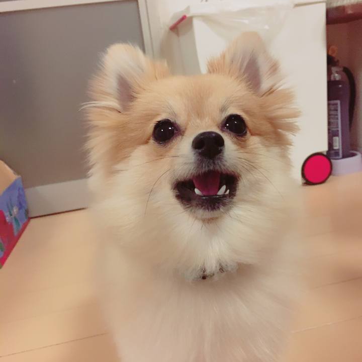 D5527bf6 5bad 42c6 9e93 304de944166f 1517317779807