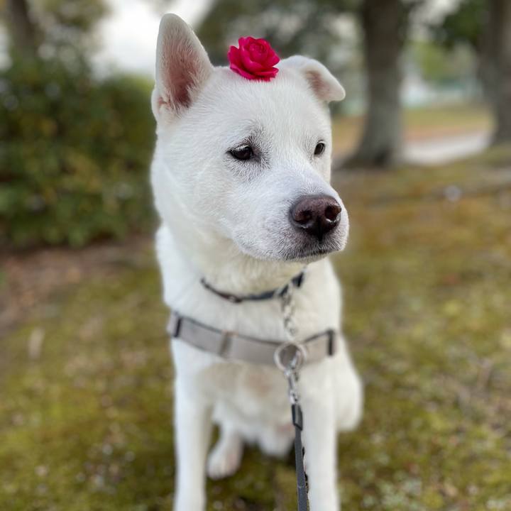 D5529ebb 8688 4faf aec4 f029e33c95c4 1735871464368