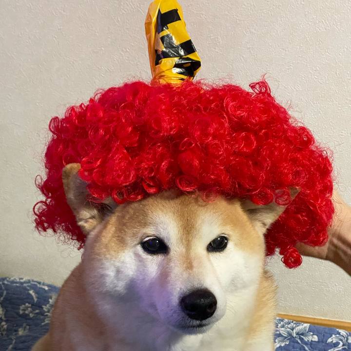 D552ab71 545a 473b ae93 d4d9cd5e92ba 1643887835121