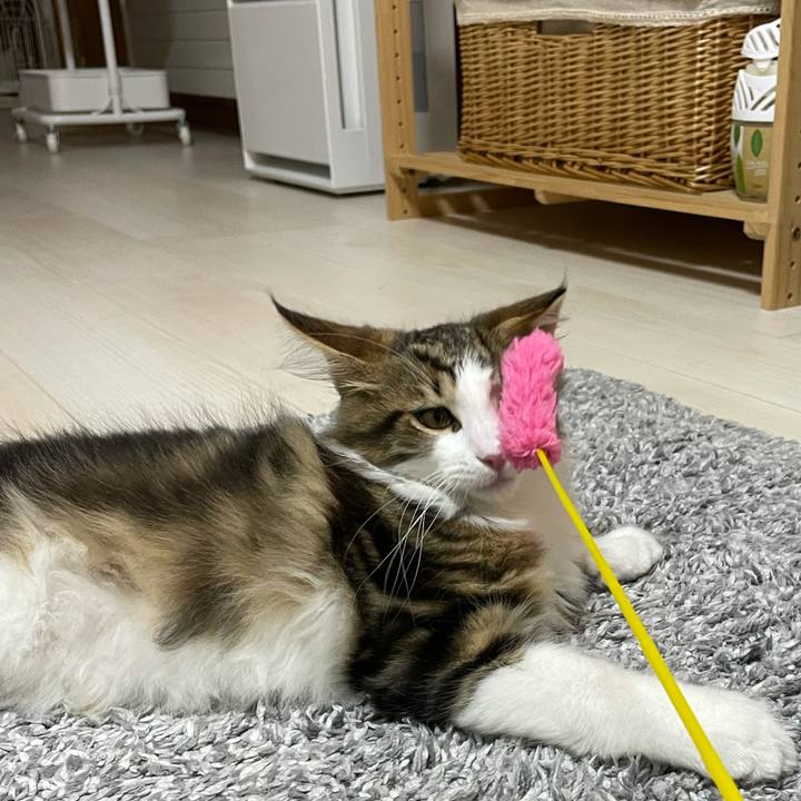 D552bf55 ff9b 473c a854 ef0203a0561e 1634123488774