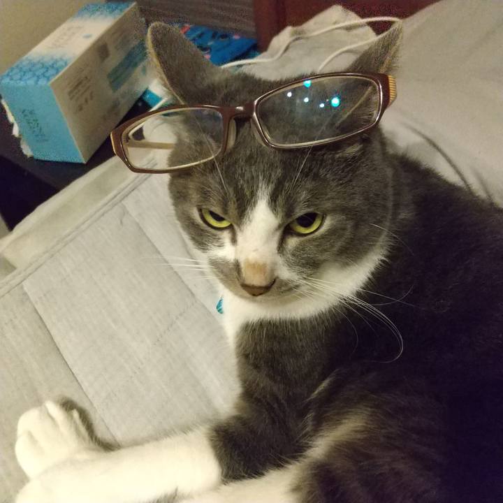 D552c376 882e 41b4 8abc 4a6e38a067a4 1630675407154