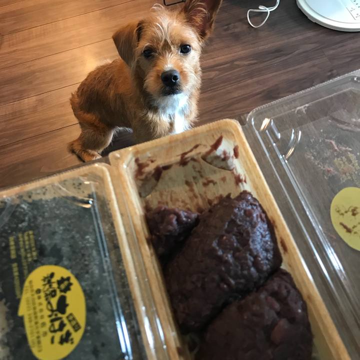 D5531006 dff1 43c3 a1b6 3827f30093b1 1532239073436