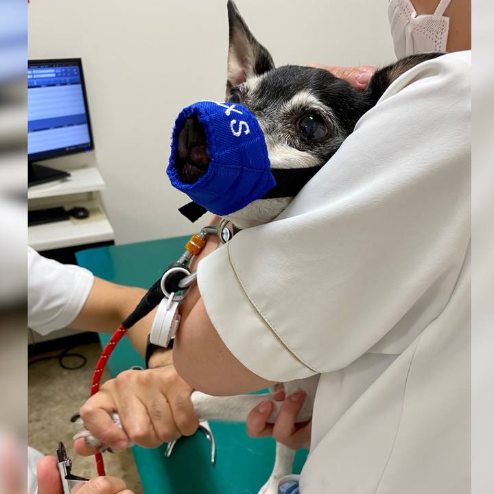 D5531adf f0bd 4ca0 a40f e55f4e623bf8 1627723756930