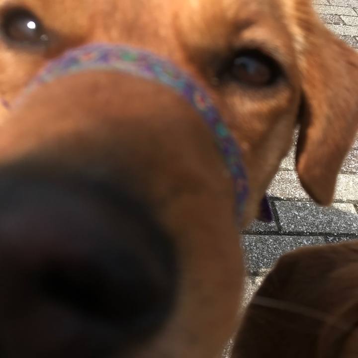 D553244a fc52 411b a1ac 57af55951c20 1522048399596